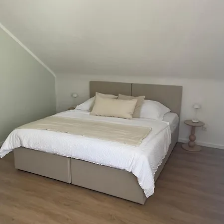 Schwalbennest - Moderne In *